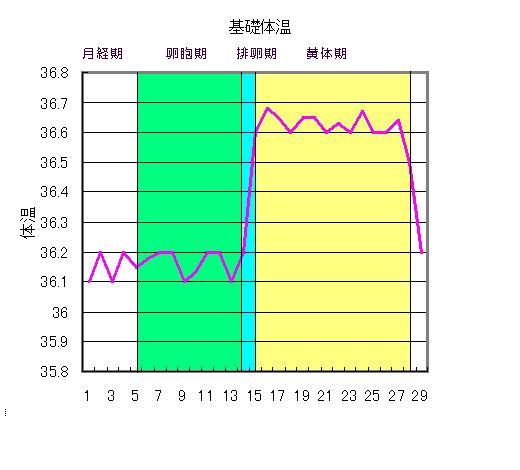 基礎体温